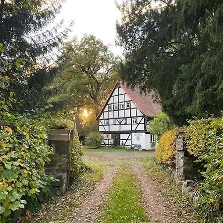 Wassermuehle Triglitz - Alleinlage Fuer Retreats, Workshops, Family & Friends Exterior foto