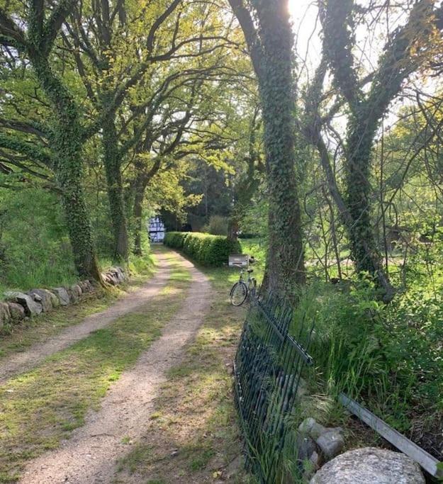 Wassermuehle Triglitz - Alleinlage Fuer Retreats, Workshops, Family & Friends Exterior foto