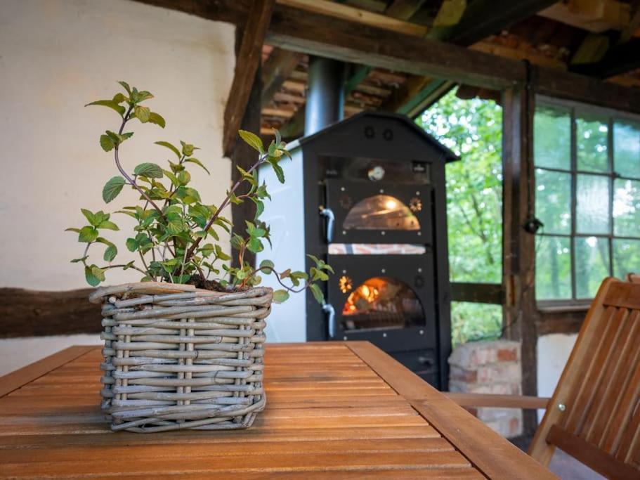 Wassermuehle Triglitz - Alleinlage Fuer Retreats, Workshops, Family & Friends Exterior foto